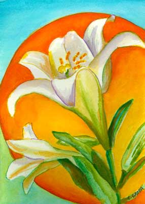 Easter Lily