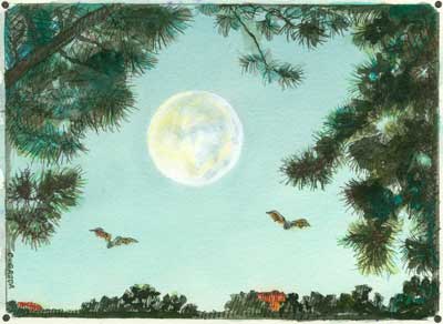 Perigee Super-Moon