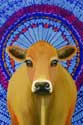 Sacred Cow