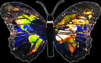 Earth