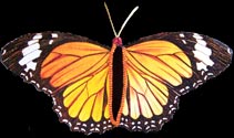 Monarch 2