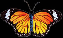 Monarch